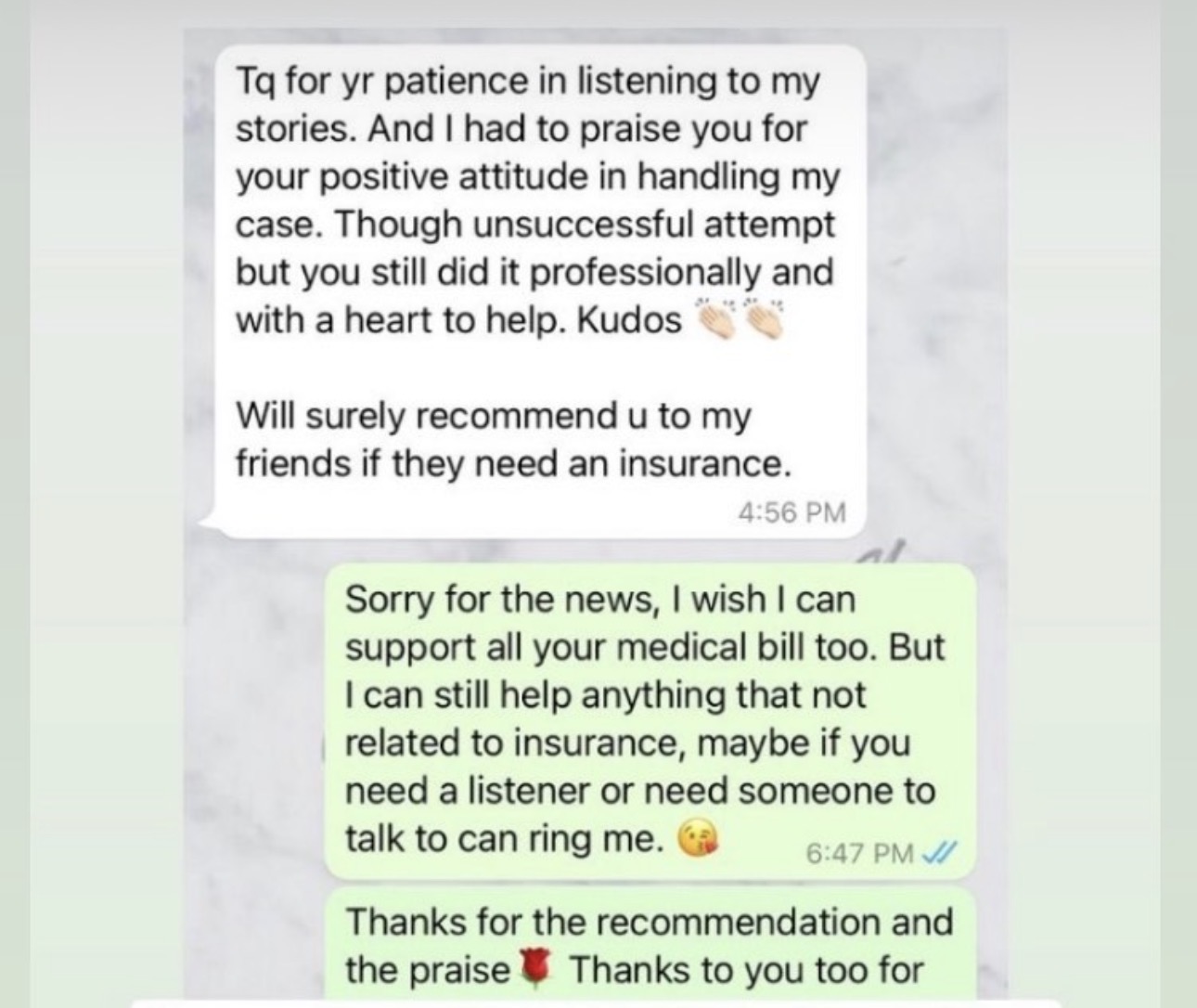 Client praising Vion's patience and professionalism
